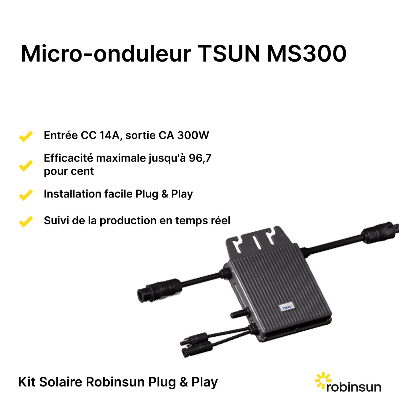 FR-Micro Onduleur TSUN MS300
